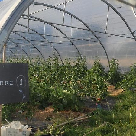 Eco-Gite A La Ferme D'Elles Saint-Andre-de-l'Epine Buitenkant foto